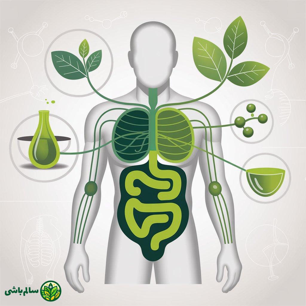 لاغری و چای سبز