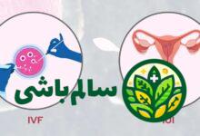 سفر برای رسیدن به فرزندآوری گاهی با چالش‌هایی همراه است و امروزه علم پزشکی با روش‌های کمک باروری (ART) راهگشای بسیاری از زوج‌ها شده است. در میان این روش‌ها، دو نام بیش از همه شنیده می‌شود: IVF و IUI. اما Ivf و iui چیست و چه تفاوت‌هایی با هم دارند؟ برای بسیاری از زوج‌ها، درک اینکه منظور از ivf چیست و یا اینکه iui چیست و چگونه انجام میشود، اولین قدم برای تصمیم‌گیری آگاهانه است. دانستن فرق iui و ivf به شما و پزشکتان کمک می‌کند تا بهترین و مناسب‌ترین مسیر درمانی را انتخاب کنید. در این مقاله، به صورت دقیق و با جزئیات کامل، به بررسی این دو روش محبوب کمک باروری می‌پردازیم تا تمامی ابهامات شما برطرف گردد. همچنین پیشنهاد می شود از صفحه فرق بچه های ای وی اف با طبیعی دیدن کنید. منظور از ivf چیست IVF که مخفف عبارت “In Vitro Fertilization” است، به معنای “لقاح در محیط آزمایشگاه” یا “لقاح خارج از بدن” می‌باشد. این روش یکی از پیشرفته‌ترین و مؤثرترین تکنیک‌های کمک باروری است که در آن، فرآیند ترکیب اسپرم و تخمک به جای آنکه در لوله‌های فالوپ بدن زن رخ دهد، در یک ظرف مخصوص آزمایشگاهی (پتری دیش) انجام می‌شود. جنین حاصل از این لقاح، پس از چند روز رشد اولیه، به رحم مادر منتقل می‌شود تا لانه‌گزینی کرده و به رشد خود ادامه دهد. این فرآیند پیچیده شامل چندین مرحله کلیدی است. پیشنهاد می شود از صفحه ایا ای وی اف بار اول جواب میده دیدن کنید. مراحل اصلی در چرخه درمان IVF در یک چرخه قاعدگی طبیعی، بدن زن معمولاً یک تخمک بالغ آزاد می‌کند. اما برای افزایش شانس موفقیت IVF، نیاز به تعداد تخمک‌های بیشتری است. به همین دلیل، پزشک داروهای هورمونی تزریقی را برای بیمار تجویز می‌کند تا تخمدان‌ها را برای تولید همزمان چندین تخمک بالغ تحریک کند. در طول این دوره که حدود 8 تا 14 روز طول می‌کشد، وضعیت فولیکول‌ها با سونوگرافی و سطح هورمون‌ها با آزمایش خون به دقت کنترل می‌شود. مرحله دوم: تخمک‌کشی (Egg Retrieval) زمانی که تخمک‌ها به بلوغ کافی رسیدند، طی یک عمل جراحی سرپایی و کوتاه به نام “پانکچر تخمدان”، آن‌ها از بدن خارج می‌شوند. این عمل با بیهوشی سبک یا آرام‌بخش انجام شده و پزشک با هدایت سونوگرافی، یک سوزن نازک را از طریق واژن وارد تخمدان‌ها کرده و مایع حاوی تخمک‌های بالغ را از فولیکول‌ها بیرون می‌کشد. مرحله سوم: لقاح در آزمایشگاه در همان روز تخمک‌کشی، نمونه اسپرم از شریک مرد دریافت می‌شود. سپس متخصص جنین‌شناسی، اسپرم‌های باکیفیت را جدا کرده و آن‌ها را در کنار تخمک‌های جمع‌آوری شده در محیط کشت آزمایشگاهی قرار می‌دهد تا لقاح به صورت طبیعی انجام شود. در موارد ناباروری شدید مردانه، از روشی به نام میکرواینجکشن یا ICSI استفاده می‌شود که در آن، یک اسپرم سالم مستقیماً به داخل هر تخمک تزریق می‌گردد تا شانس لقاح به حداکثر برسد. مرحله چهارم: انتقال جنین (Embryo Transfer) جنین‌های تشکیل شده برای 3 تا 5 روز در انکوباتورهای مخصوص رشد می‌کنند. سپس بهترین و باکیفیت‌ترین جنین (یا جنین‌ها) انتخاب شده و طی یک فرآیند ساده و بدون درد، با استفاده از یک لوله بسیار نازک (کاتتر) از طریق واژن به داخل رحم مادر منتقل می‌شود. iui چیست و چگونه انجام میشود IUI که مخفف عبارت “Intrauterine Insemination” است، به معنای “تلقیح داخل رحمی اسپرم” می‌باشد. این روش نسبت به IVF بسیار ساده‌تر و کم‌تهاجمی‌تر است. در IUI، لقاح در داخل بدن زن اتفاق می‌افتد. هدف اصلی این روش، افزایش تعداد اسپرم‌های باکیفیت و متحرکی است که به لوله‌های فالوپ (محل اصلی لقاح) می‌رسند و در نتیجه، شانس برخورد اسپرم با تخمک و وقوع بارداری را بالا می‌برند. همچنین پیشنهاد می شود از صفحه آی یو آی برای چه کسانی جواب می دهد دیدن کنید. مراحل انجام فرآیند IUI مرحله اول: آماده‌سازی و زمان‌بندی زمان‌بندی در IUI نقشی حیاتی دارد. این عمل باید دقیقاً در حوالی زمان تخمک‌گذاری انجام شود. پزشک ممکن است چرخه طبیعی شما را با کیت‌های تخمک‌گذاری یا سونوگرافی دنبال کند. در برخی موارد نیز برای اطمینان از آزاد شدن تخمک یا افزایش تعداد تخمک‌ها، داروهای خوراکی یا تزریقی خفیفی (مانند کلومیفن سیترات) برای تحریک تخمک‌گذاری تجویز می‌شود. مرحله دوم: جمع‌آوری و شستشوی اسپرم در روز انجام IUI، نمونه اسپرم از شریک مرد یا از بانک اسپرم (در صورت استفاده از اسپرم اهدایی) گرفته می‌شود. این نمونه به آزمایشگاه فرستاده شده و در آنجا طی فرآیندی به نام “شستشوی اسپرم”، اسپرم‌های سالم، فعال و متحرک از مایع منی و اسپرم‌های بی‌کیفیت جدا می‌شوند. این کار باعث تغلیظ اسپرم‌های باکیفیت در حجم کمی از مایع می‌شود. مرحله سوم: فرآیند تزریق (تلقیح) فرآیند تلقیح بسیار سریع و شبیه به تست پاپ اسمیر است. بیمار روی تخت معاینه دراز می‌کشد و پزشک با استفاده از یک اسپکولوم، دهانه رحم را مشاهده می‌کند. سپس کاتتر بسیار نازک و انعطاف‌پذیری که حاوی نمونه اسپرم شسته‌شده است، به آرامی از دهانه رحم عبور داده شده و محتویات آن مستقیماً در قسمت فوقانی حفره رحم تخلیه می‌شود. کل این فرآیند معمولاً تنها چند دقیقه طول می‌کشد. فرق iui و ivf اگرچه هدف نهایی هر دو روش کمک به بارداری است، اما تفاوت‌های بنیادین زیادی بین آن‌ها وجود دارد. درک این تفاوت‌ها به زوجین کمک می‌کند تا دید واقع‌بینانه‌تری نسبت به گزینه‌های درمانی خود داشته باشند. در جدول زیر، مقایسه جامعی بین این دو روش ارائه شده است. ویژگی (Feature) IUI (تلقیح داخل رحمی) IVF (لقاح خارج از بدن) محل لقاح داخل بدن زن (در لوله‌های فالوپ) خارج از بدن (در محیط آزمایشگاه) میزان تهاجمی بودن کم‌تهاجمی؛ بدون نیاز به جراحی تهاجمی‌تر؛ نیازمند عمل جراحی سرپایی (تخمک‌کشی) هزینه به مراتب کمتر به مراتب گران‌تر و پرهزینه‌تر داروهای هورمونی معمولاً بدون دارو یا با داروهای خوراکی/تزریقی خفیف نیازمند داروهای هورمونی تزریقی قوی و متعدد فرآیند آزمایشگاهی محدود به شستشو و آماده‌سازی اسپرم پیچیده؛ شامل کشت تخمک، لقاح، و رشد جنین شانس موفقیت در هر دوره معمولاً پایین‌تر (حدود 10% تا 20%) معمولاً بالاتر (بسته به سن و شرایط، می‌تواند به بیش از 40%40 برسد) زمان مورد نیاز فرآیند تزریق چند دقیقه طول می‌کشد کل چرخه درمان حدود 4 تا 6 هفته زمان می‌برد Ivf و iui چیست به طور خلاصه، IVF و IUI دو رویکرد متفاوت برای غلبه بر ناباروری هستند. IUI یک روش خط اول، ساده‌تر و ارزان‌تر است که با قرار دادن اسپرم در نزدیکی محل لقاح، به طبیعت کمک می‌کند. در مقابل، IVF یک روش پیشرفته‌تر و کنترل‌شده‌تر است که کل فرآیند لقاح و تشکیل جنین اولیه را به خارج از بدن و به محیط آزمایشگاه منتقل می‌کند. انتخاب بین این دو روش کاملاً به علت ناباروری، سن زن، سلامت عمومی زوجین و سابقه درمان‌های قبلی بستگی دارد. چه کسانی کاندید مناسب IUI هستند؟ زوج‌های با ناباروری با علت نامشخص (Unexplained Infertility) مشکلات خفیف در اسپرم مرد (مانند تعداد یا تحرک کم) مشکلات مربوط به دهانه رحم (سرویکس) یا موکوس سرویکال اختلالات تخمک‌گذاری آندومتریوز خفیف استفاده از اسپرم اهدایی چه کسانی به سراغ IVF می‌روند؟ انسداد یا آسیب شدید لوله‌های فالوپ ناباروری شدید مردانه (تعداد یا کیفیت اسپرم بسیار پایین) کاهش شدید ذخیره تخمدان یا کیفیت پایین تخمک‌ها اندومتریوز شدید شکست در چندین دوره درمان با IUI نیاز به استفاده از تخمک اهدایی یا رحم جایگزین نیاز به غربالگری ژنتیکی جنین‌ها قبل از انتقال (PGD/PGS) سخن نهایی تصمیم‌گیری برای شروع درمان ناباروری یک گام بزرگ و پراسترس است. روش‌های IUI و IVF هر دو ابزارهای قدرتمندی در دست متخصصان برای تحقق رویای فرزندآوری هستند. IUI به عنوان یک گزینه ساده‌تر و کم‌هزینه‌تر، اغلب به عنوان اولین قدم درمانی پیشنهاد می‌شود، در حالی که IVF با وجود پیچیدگی و هزینه بالاتر، شانس موفقیت بیشتری را برای موارد پیچیده‌تر فراهم می‌کند. مهم‌ترین اقدام، مشاوره با یک متخصص ناباروری مجرب است. پزشک با بررسی دقیق شرایط شما، بهترین و مؤثرترین مسیر درمانی را پیشنهاد خواهد داد و شما را در این سفر حساس و پرامید همراهی خواهد کرد.